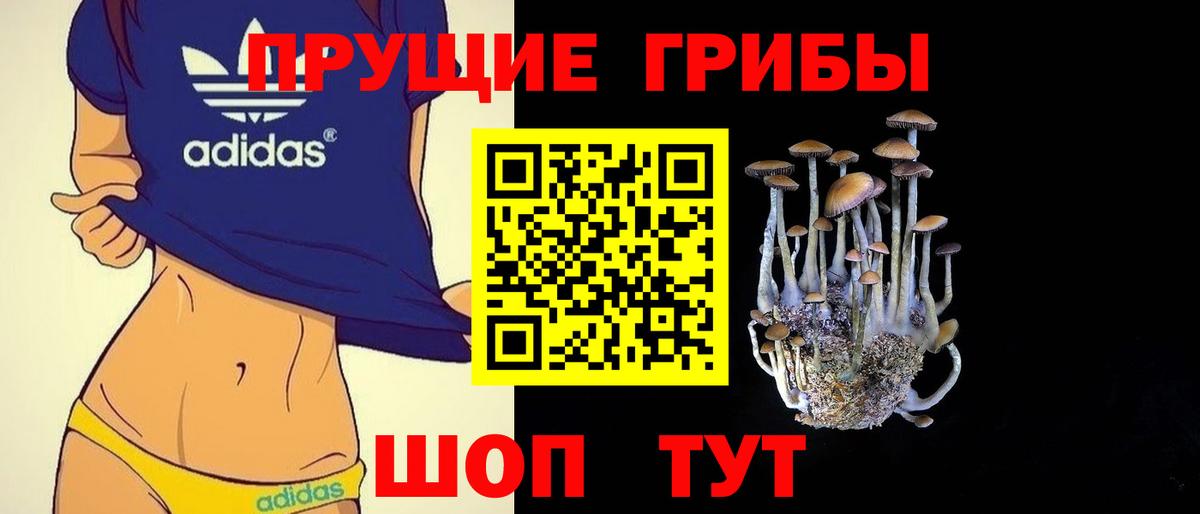 Псилоцибиновые грибы Psilocybine cubensis Заводоуковск